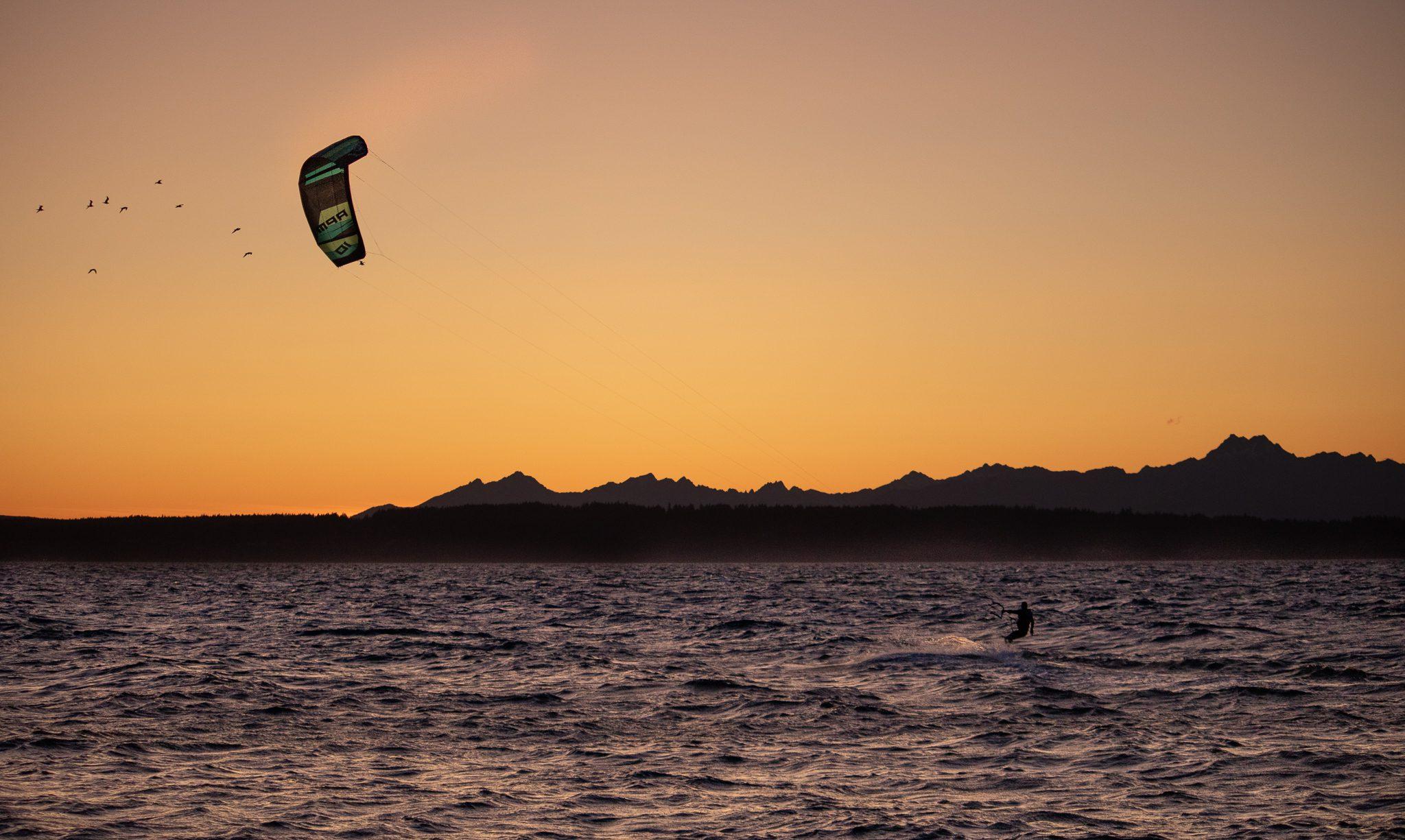 Birds and kiteboarder