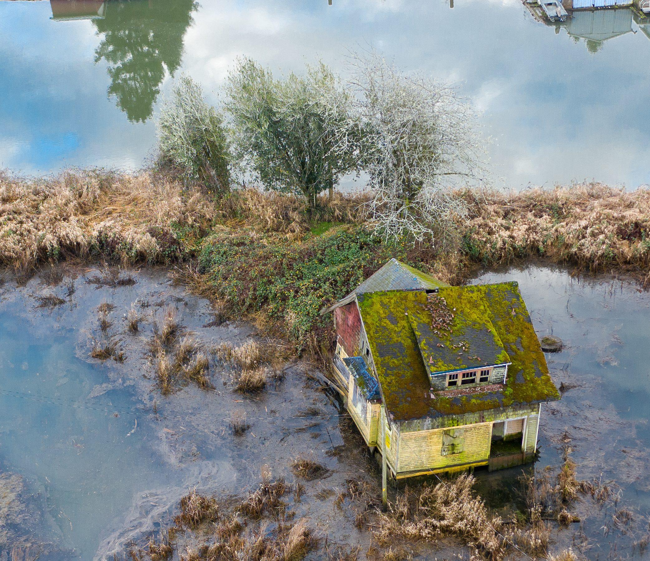 Mossy roof on Svensen Island house, Pacific Northwest