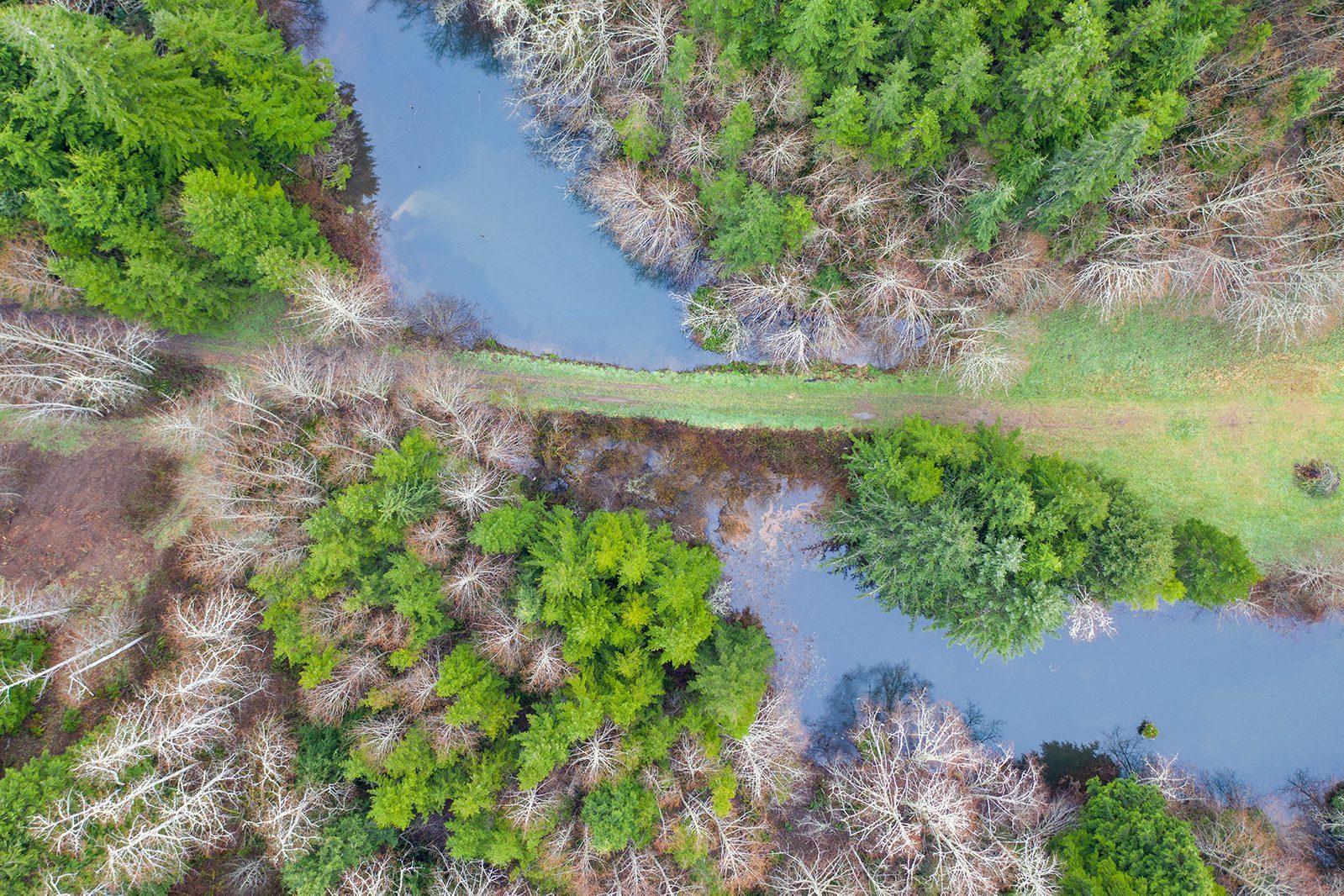 The pond causeway