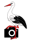 Storck Photos Logo