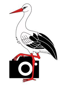 StorckPhotos logo