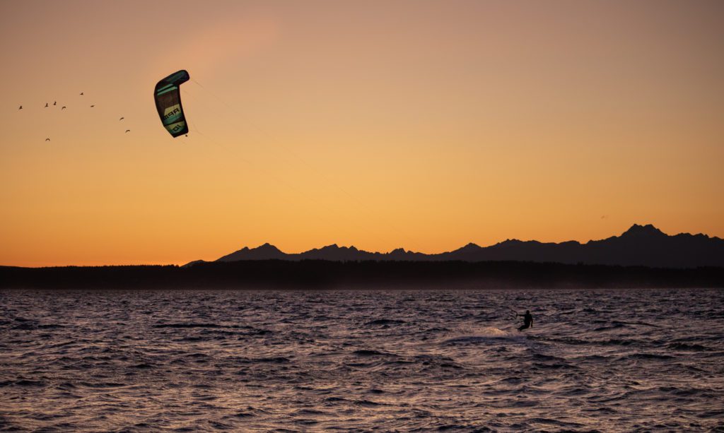 birds and kiteboarder at sunset